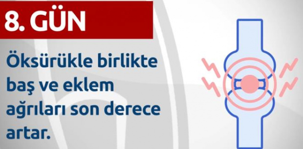 Gün Gün Corona Virüs Belirtileri Açıklandı 19