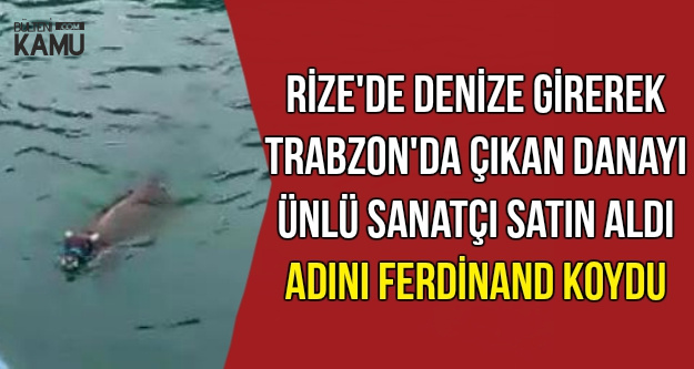 Yüzerek Rize'den Trabzon'a Giden Danayı Ünlü Sanatçı Aldı