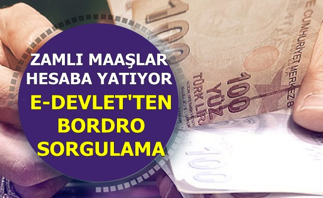 Memurların Zamlı Maaşları Hesaba Yatıyor-İşte E-Devlet'ten E-Bordro Sorgulama (Turkiye.gov.tr)