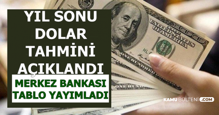 Merkez Bankası Dolar Tahminini Açıkladı: 2019 Sonunda Dolar/TL ..