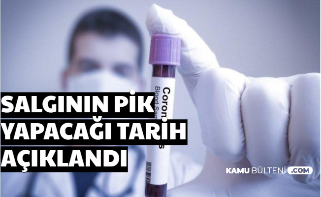 Türkiye'de Koronavirüs Bu Tarihlerde En Yüksek Seviyeye Çıkacak (Pik Nedir?)