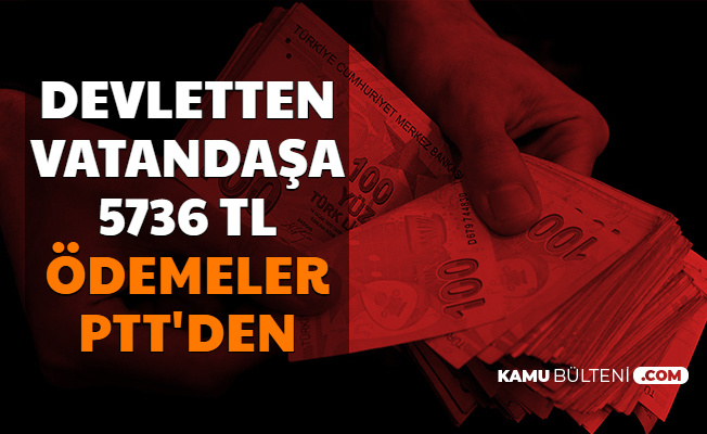 Devletten Vatandaşlara 24 Ay Boyunca Toplam 5736 TL: Ödemeler PTT'den (Mama ve Bez Desteği 2020)