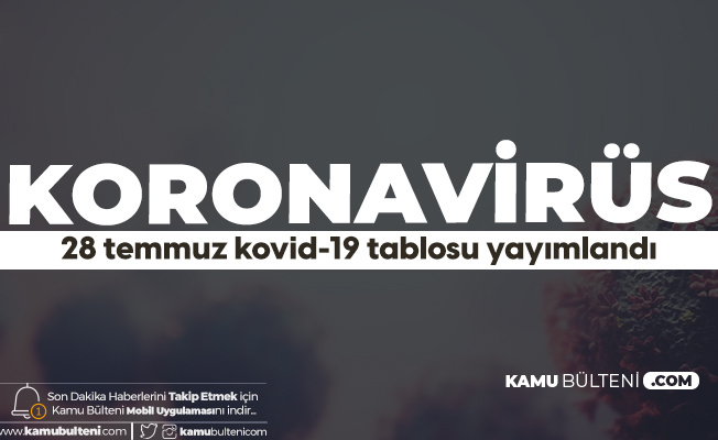 28 Temmuz Türkiye Koronavirüs Güncel Tablosu Yayımlandı