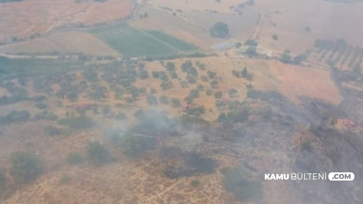 Hatay İskenderun'da Orman Yangını Çıktı: Çok Sayıda Ekip Bölgeye Sevk Edildi