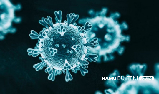 12 Şubat Koronavirüs Tablosu Yayımlandı