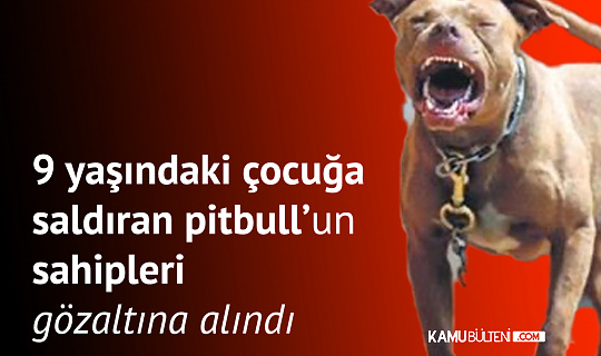 İstanbul Kartal’da 9 yaşındaki Çocuğa Saldıran Pitbull Cinsi Köpeğin Sahipleri Gözaltına Alındı