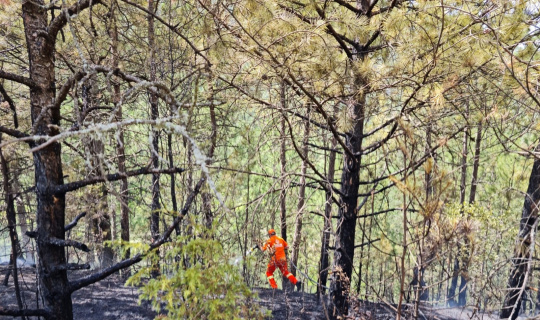 Karabük’te ormanlık alandaki yangın büyümeden söndürüldü