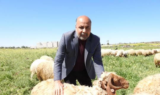 Koyun Keçi Yetiştiricileri Birliği Başkanı’ndan zincir marketlere kurbanlık fiyat tepkisi