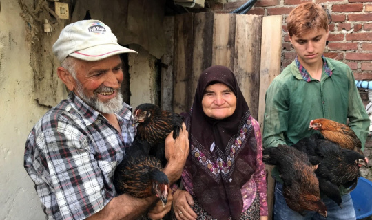 Türkiye’nin ilk yerli tavuk ırkı, çiftçilere teslim edilmeye başlandı