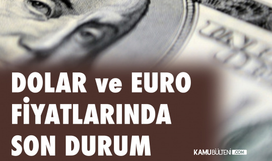 Dolar ve Euro Fiyatlarında Son Durum!