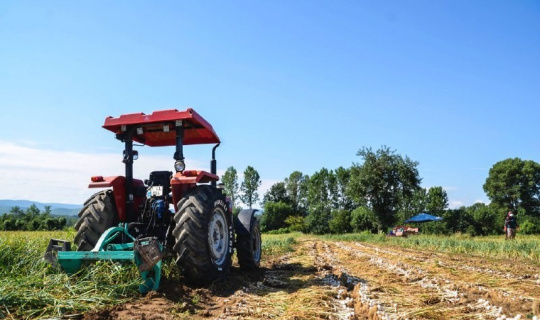 Bakan Yardımcısı, kullandığı traktör ile Taşköprü sarımsağının hasadını başlattı