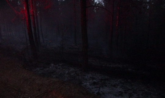 Uşak’ta 9 farklı noktada çıkan orman yangınları söndürüldü