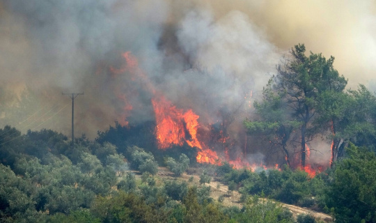 Osmaniye’de çıkan orman yangını devam ediyor