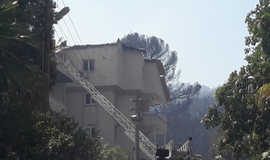 Marmaris’teki yangında iki ev zarar gördü