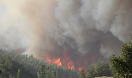 Denizli’deki 5 orman yangını tamamen söndürüldü