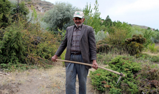 Ahmet Dede, kasabasında bulunan dağa 34 yıldır fidan dikiyor