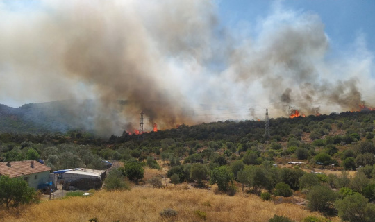 İzmir’in Urla ilçesine bağlı Balıklıova’daki makilik alanda orman yangını çıktı. Yangına, havadan ve karadan müdahale başladı.
