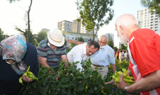 Başkan Demir, huzurevi sakinleri ile sebze topladı, bocce oynadı