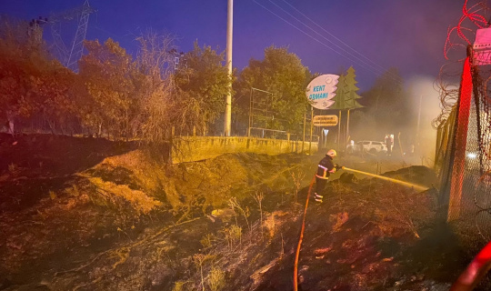 Diyarbakır’da ormanlık alanı ateşe veren 3 kişi yakalandı, alevler büyümeden söndürüldü