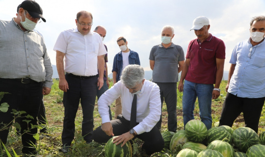 Erzincan’da hasat dönemi