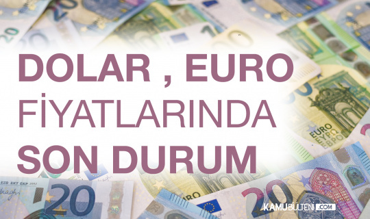 11 Ağustos 2021 Dolar, Euro Fiyatlarında Son Durum