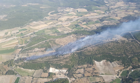 Bergama’da ağaçlandırma sahasında çıkan yangın kontrol altında