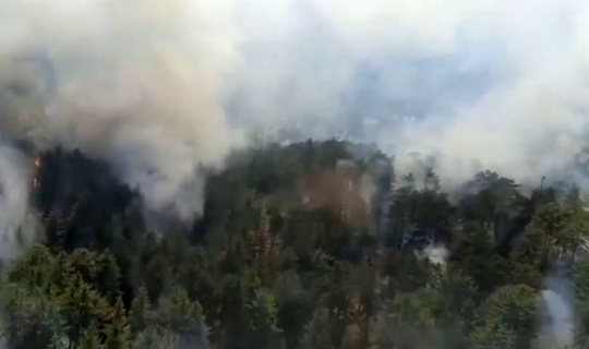 Antalya’da orman yangını başladı