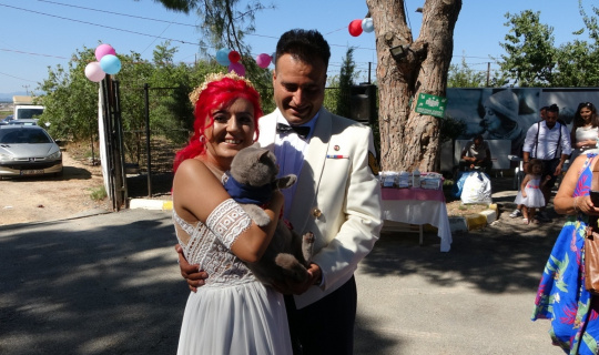 Veteriner teknikeri barınakta evlendi