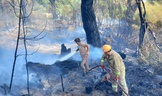 Kumluca’da çıkan orman yangını söndürüldü