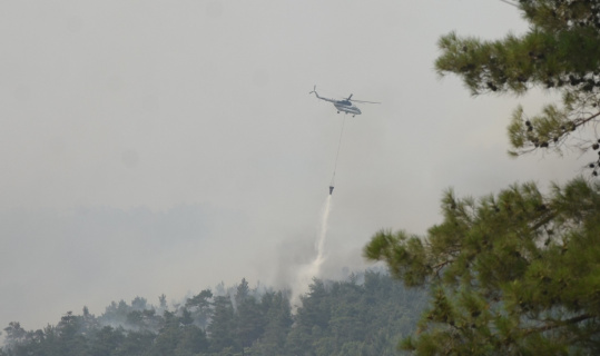 Köyceğiz yangınına 12 helikopter ve 2 uçak ile müdahale sürüyor