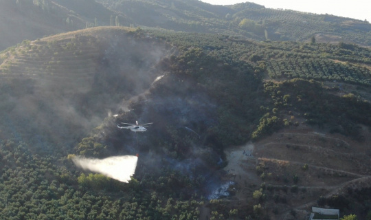Bursa’daki orman yangını söndürüldü