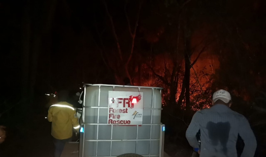 Bolivya’da orman yangınları: 280 bin hektarlık alan küle döndü