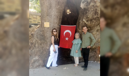 Kahramanmaraş’ta 800 yıllık çınar ağacına yoğun ilgi