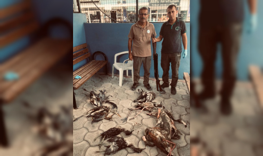 Yaban hayvanlarını avlayan kişiye 28 bin 491 lira ceza