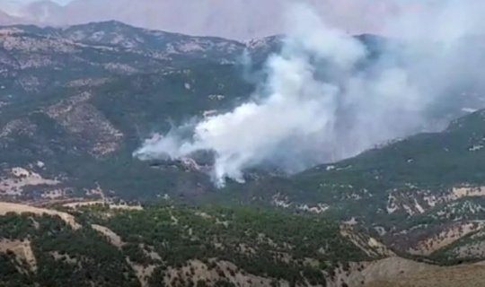 Tunceli’deki orman yangını devam ediyor