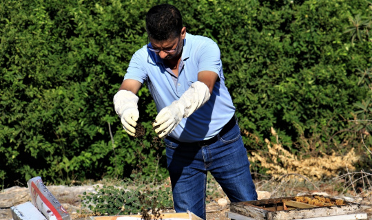 1 milyondan fazla arısı zehirlendi, ”Hepsini çalsalar canım bu kadar yanmazdı”