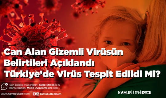 Can Alan Gizemli Virüsün Belirtileri Açıklandı Türkiye’de Tespit Edildi Mi