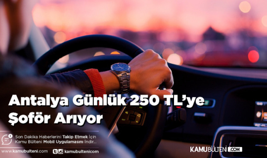 Antalya Günlük 250 TL’ye Şoför Arıyor