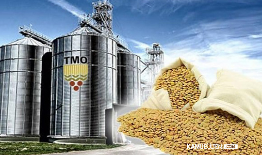 Buğday ve Arpa Alım Fiyatları Netleşti. 1 Ton Buğday Kaç TL Oldu?