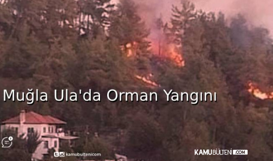 Muğla Ula’da Orman Yangını