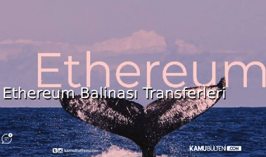 Ethereum Balinası Transferleri 