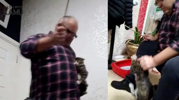 Kediye İşkence eden İş Adamı Akıl Hastanesine Gönderildi