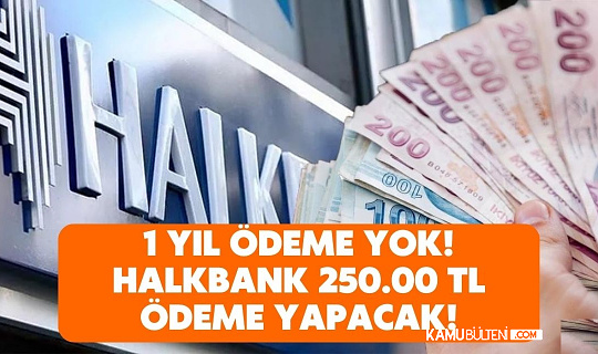Halkbank 1 Yıl Geri Ödemesiz 250.000 TL Destek Kredisi Veriyor: Kimler Nasıl Yararlanabilir?