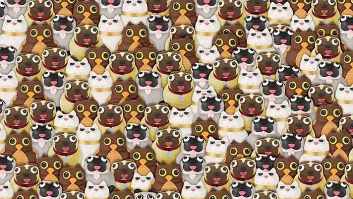 Optik İllüzyon IQ Testi: Sadece %1'i Kediler, Köpekler ve Baykuşlar arasında gizlenmiş Panda'yı 7 saniyede görebiliyor!