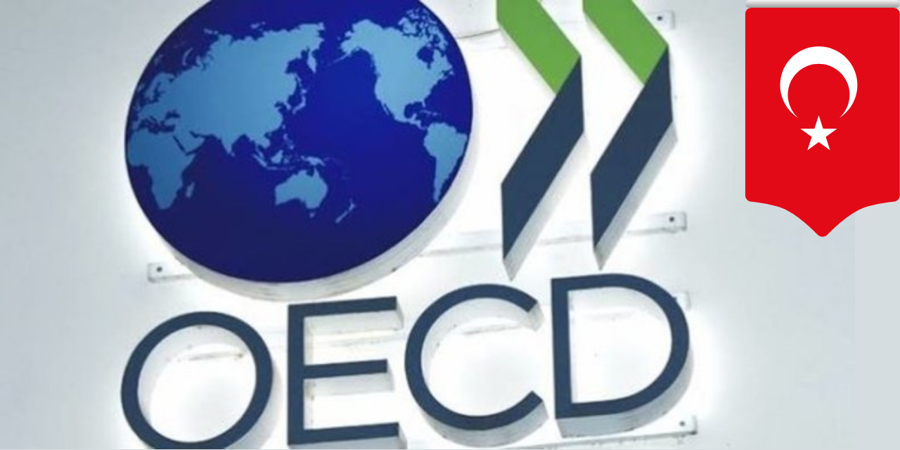 OECD’den Yeni Tahmin! 2023’te Türkiye Ekonomisi Daha Hızlı Büyüyecek