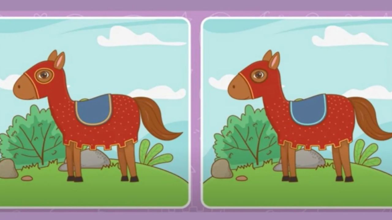 Resimdeki iki at arasında 5 fark var! Pratik zekalı olanlar 10 saniyede farkı görüyor