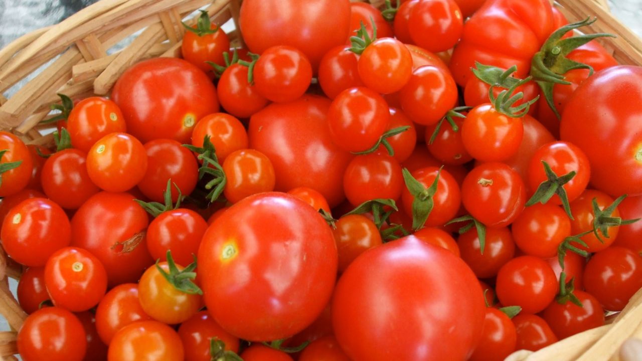 Evde domates ve biber varsa hemen deneyin! Bu turşunun tadına doyum olmuyor