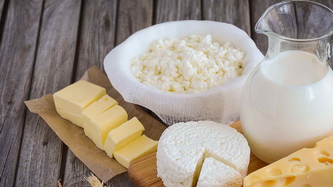 Süt ve peynirdeki korkunç gerçek ortaya çıktı! Meğer geçen ay herkesi böyle zehirlemiş