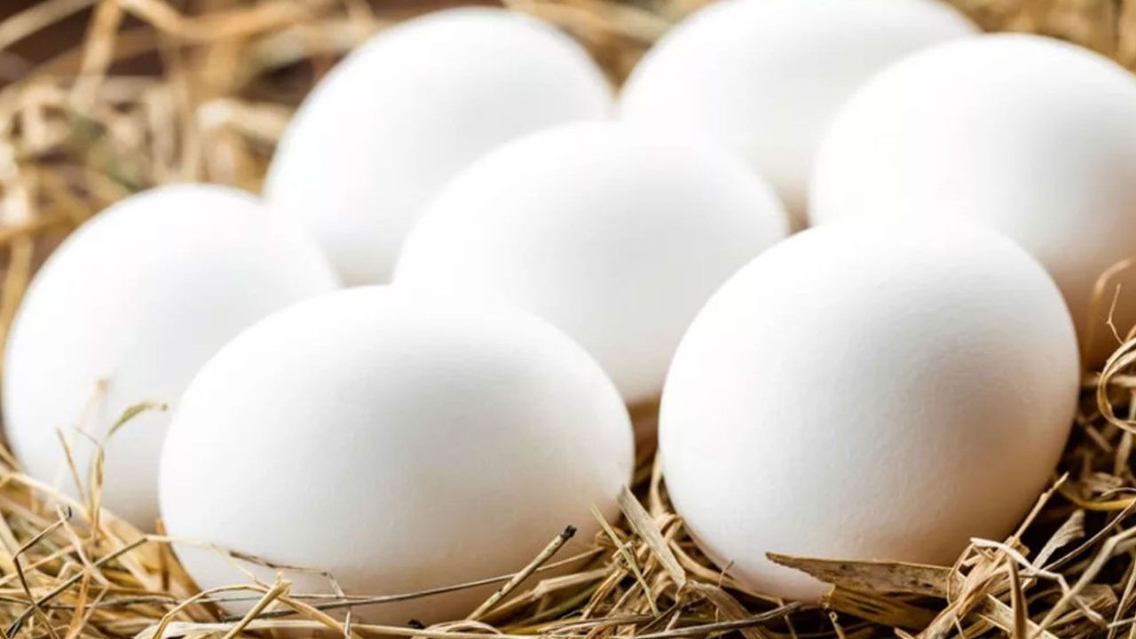 Yumurtayı buzdolabı kapağında saklayanlara kötü haber! Meğer yıllardır en büyük hatayı yapıyormuşuz