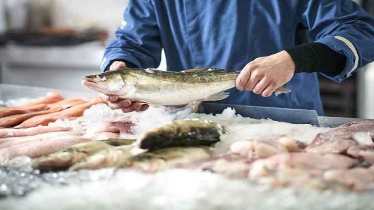 CarrefourSA'da balık sezonuna özel dev indirim! Fiyatı gören kilo kilo alıyor